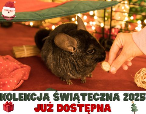 2025 święta szynszyla