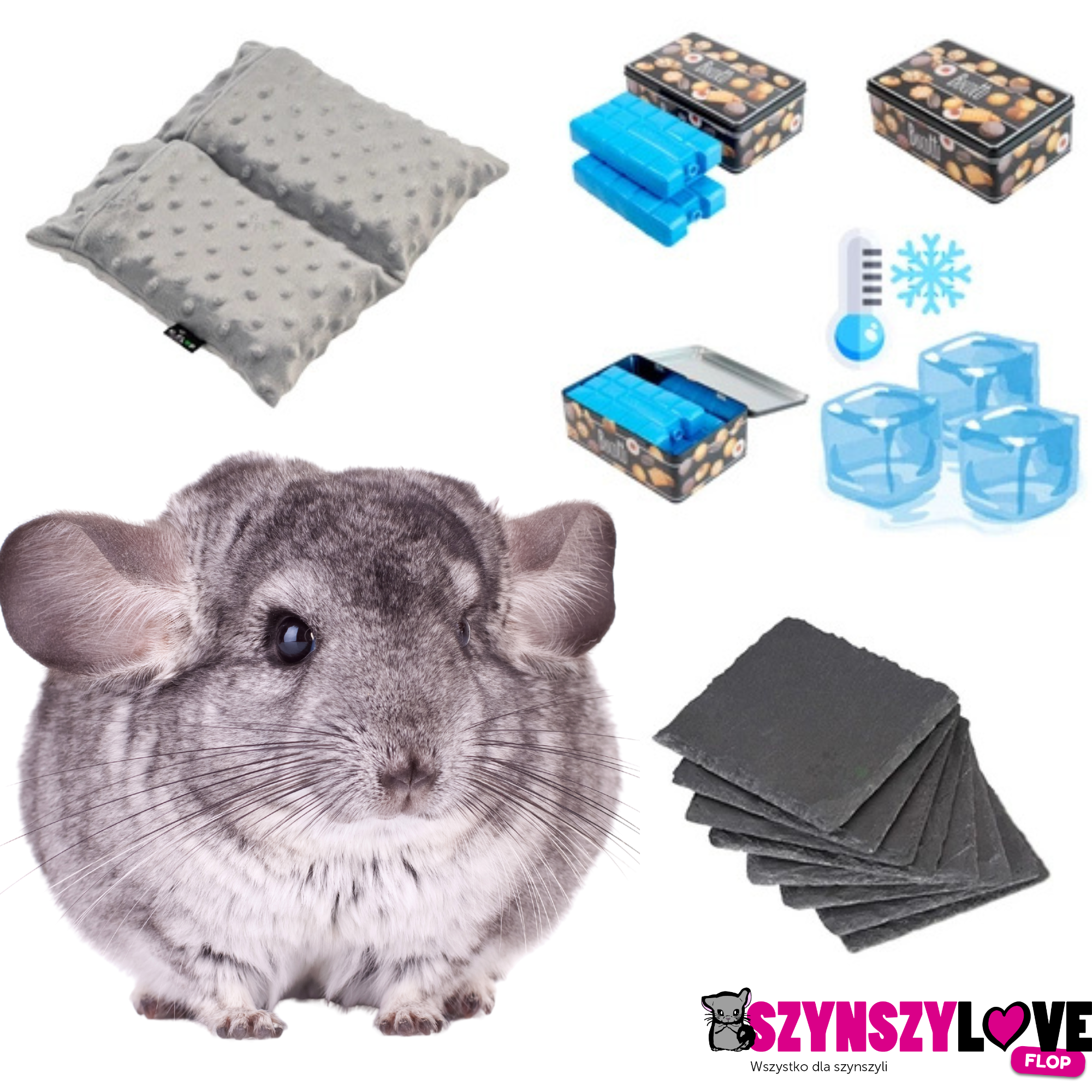 Przegrzanie (udar cieplny) u szynszyli