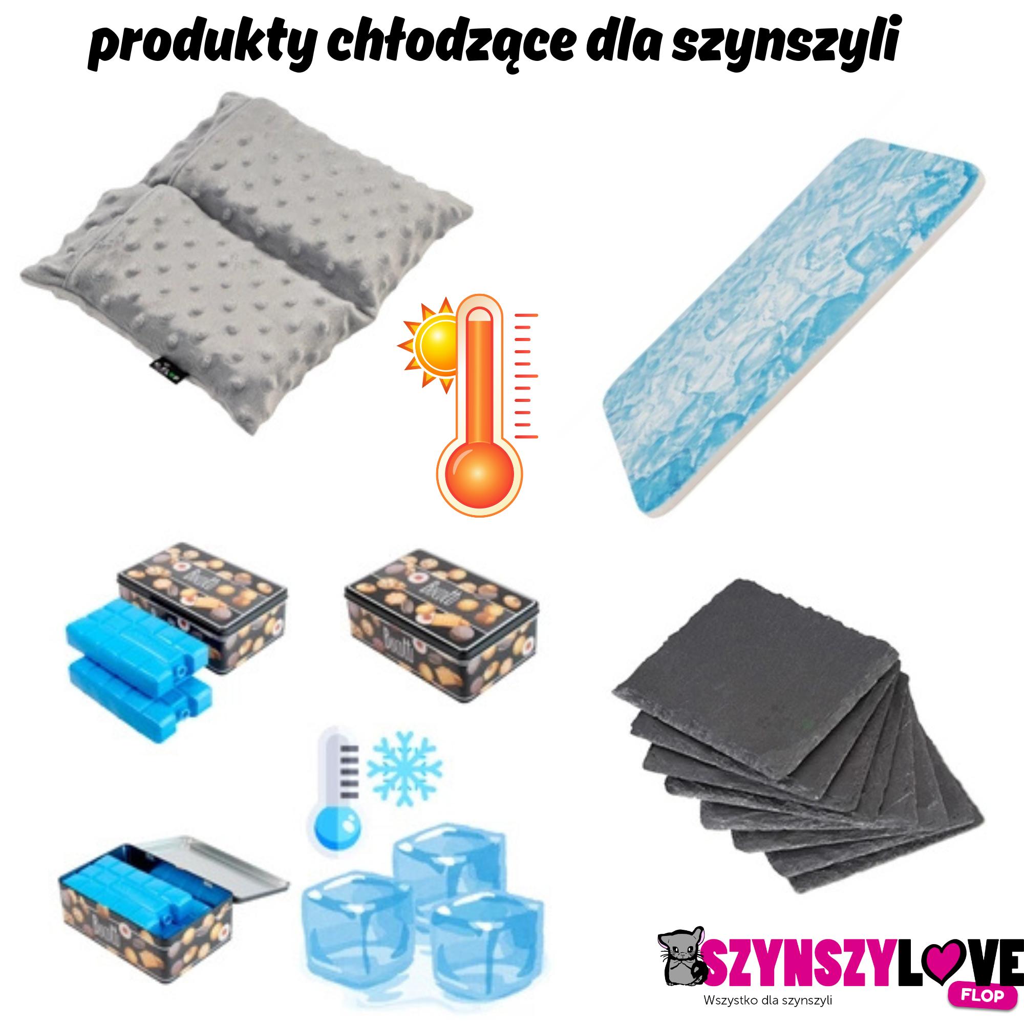 Zajrzyj do naszej Zimnej Piwniczki – czas na chłodne zakupy dla Twojej szynszyli!